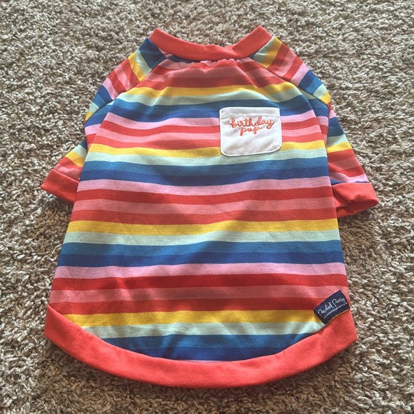 Packed Party Other - Birthday Dog Tee